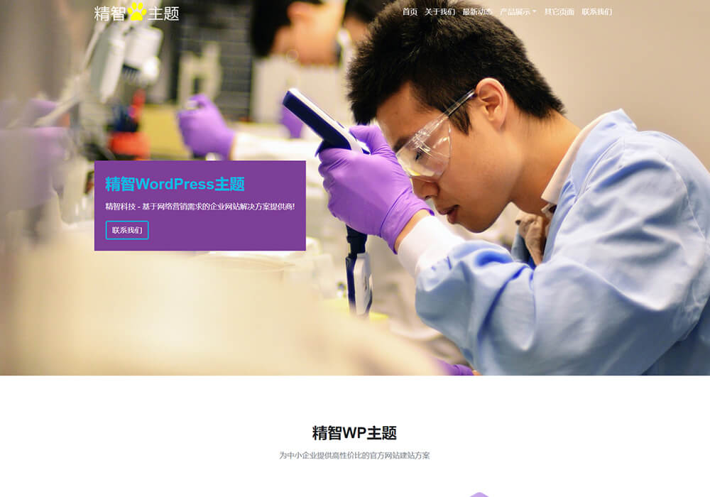檢測公司wordpress模板