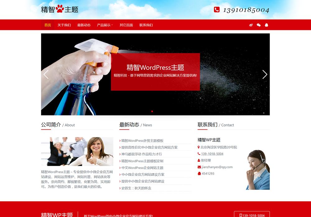 紅色消毒清潔wordpress主題模板